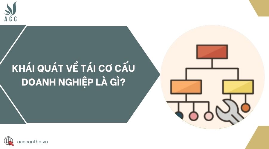Khái quát về tái cơ cấu doanh nghiệp là gì?