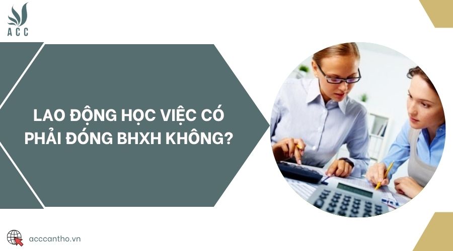 Lao động học việc có phải đóng BHXH không?