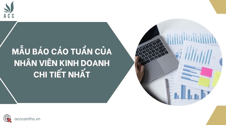 Mẫu báo cáo tuần của nhân viên fv888 chi tiết nhất