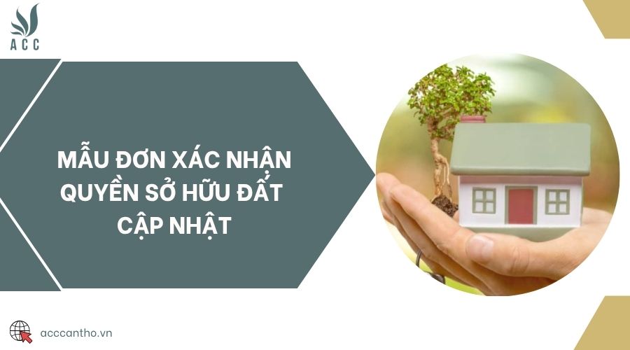 Mẫu đơn xác nhận quyền sở hữu đất cập nhật