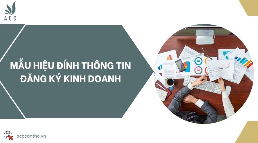 Mẫu hiệu đính thông tin đăng ký fv888