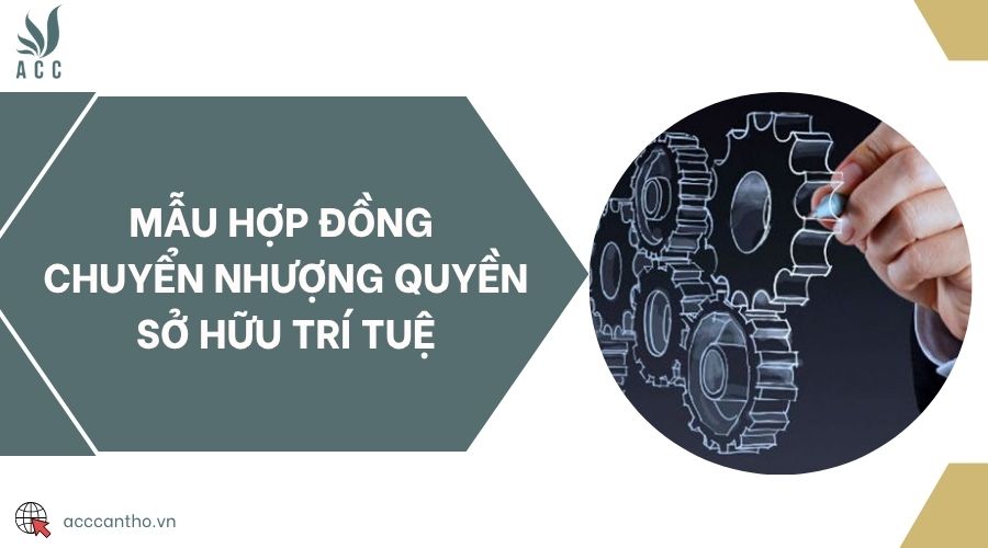 Mẫu hợp đồng chuyển nhượng quyền sở hữu trí tuệ