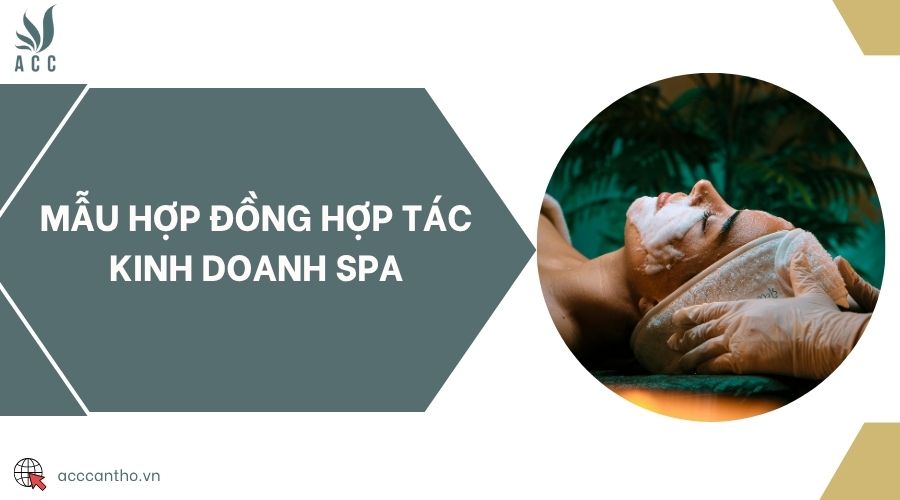 Mẫu hợp đồng hợp tác fv888 Spa