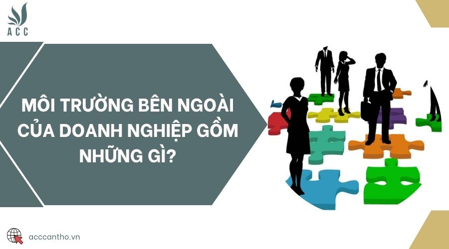 Môi trường bên ngoài của doanh nghiệp gồm những gì?