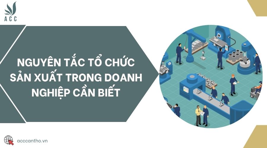 Nguyên tắc tổ chức sản xuất trong doanh nghiệp cần biết