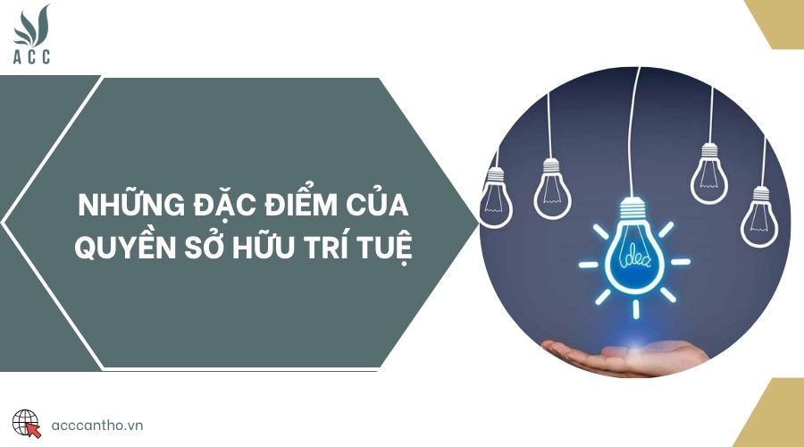 Những đặc điểm của quyền sở hữu trí tuệ