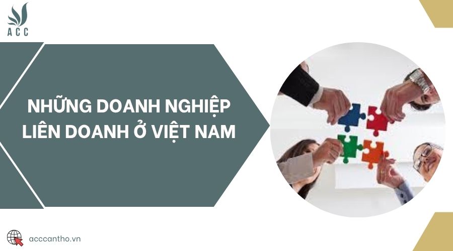 Những doanh nghiệp liên doanh ở Việt Nam