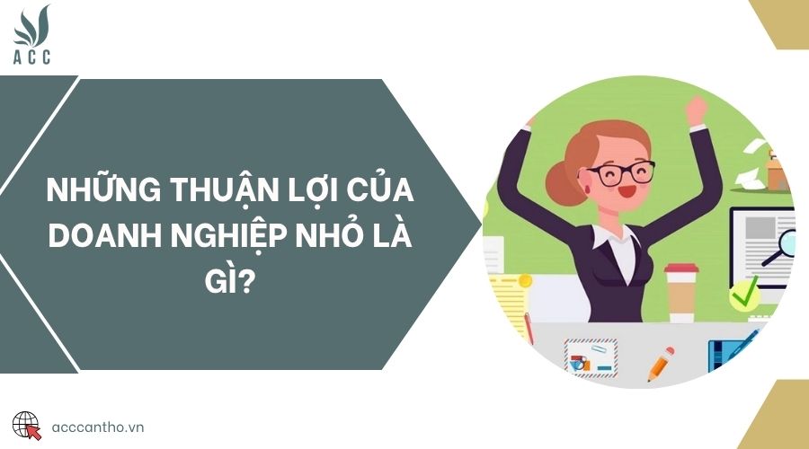 Những thuận lợi của doanh nghiệp nhỏ là gì?