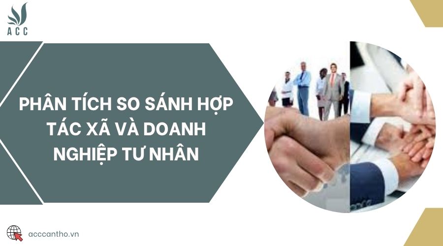 Phân tích so sánh hợp tác xã và doanh nghiệp tư nhân