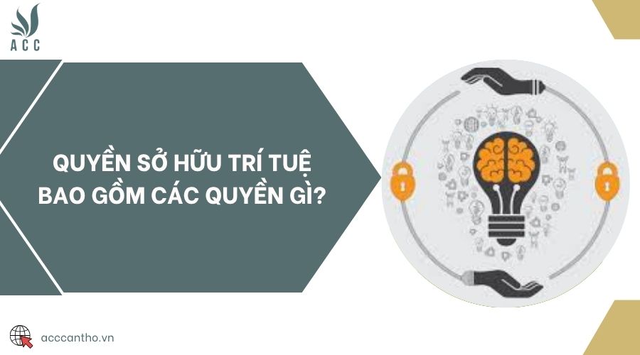 Quyền sở hữu trí tuệ bao gồm các quyền gì?
