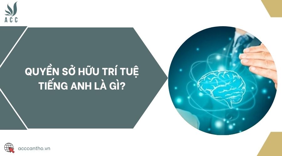 Quyền sở hữu trí tuệ tiếng Anh là gì?