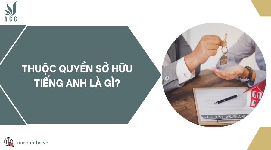 Thuộc quyền sở hữu tiếng Anh là gì?