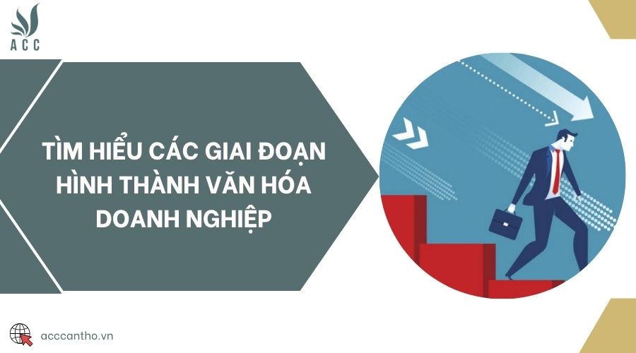 Tìm hiểu các giai đoạn hình thành văn hóa doanh nghiệp