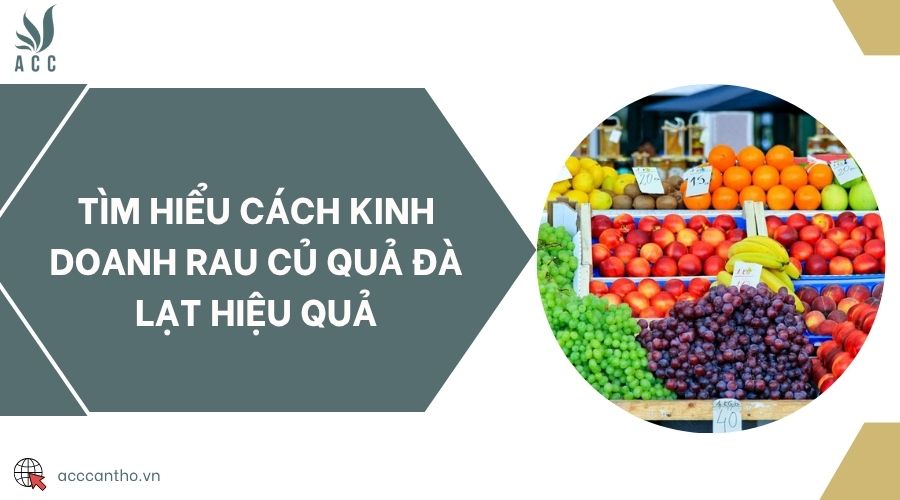 Tìm hiểu cách fv888 rau củ quả Đà Lạt hiệu quả