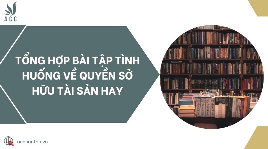 Tổng hợp bài tập tình huống về quyền sở hữu tài sản hay