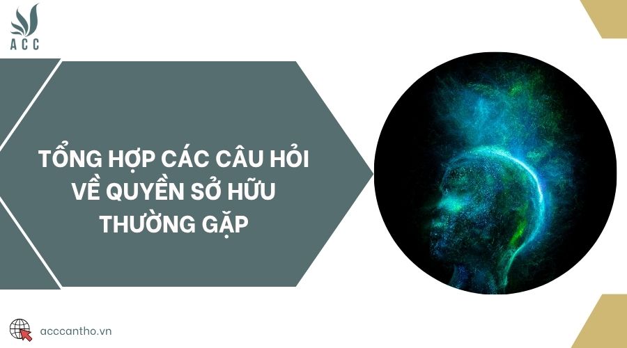 Tổng hợp các câu hỏi về quyền sở hữu thường gặp
