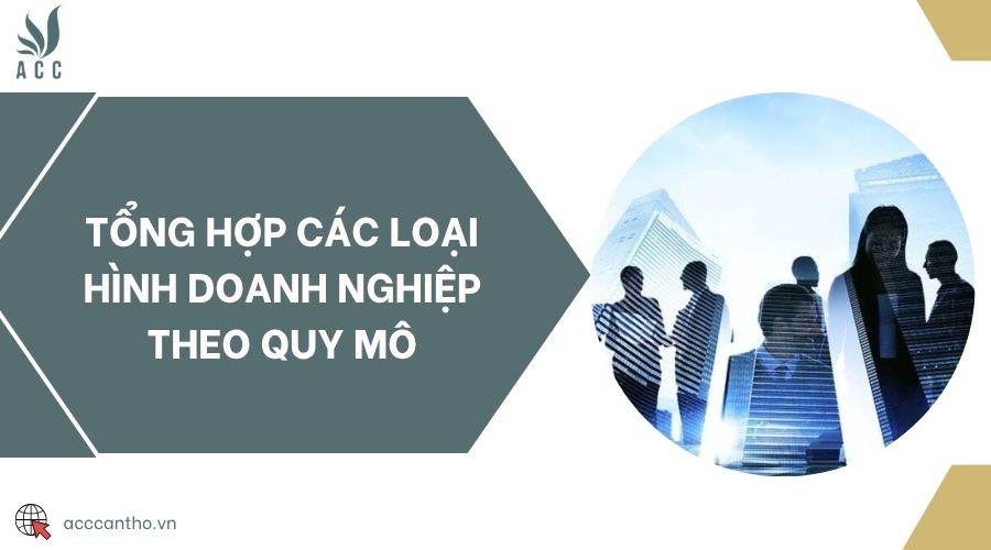 Tổng hợp các loại hình doanh nghiệp theo quy mô