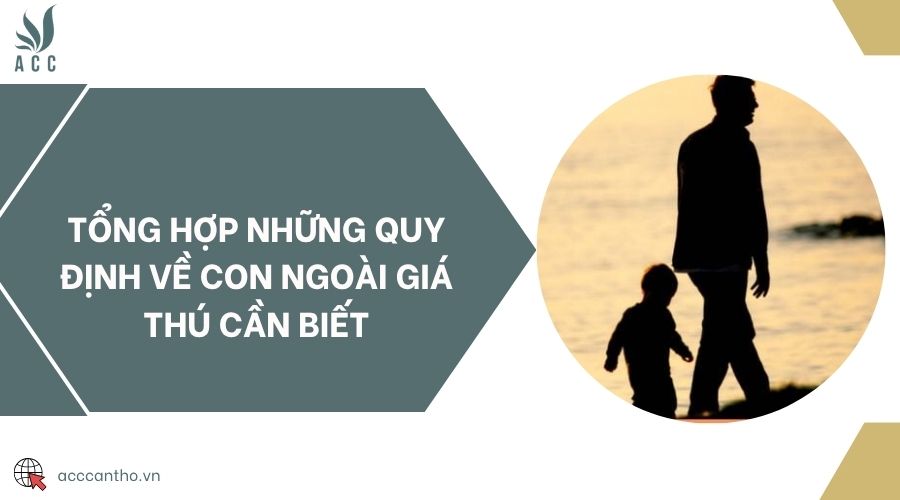 Tổng hợp những quy định về con ngoài giá thú cần biết