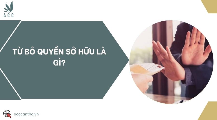 Từ bỏ quyền sở hữu là gì?