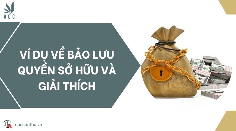Ví dụ về bảo lưu quyền sở hữu và giải thích
