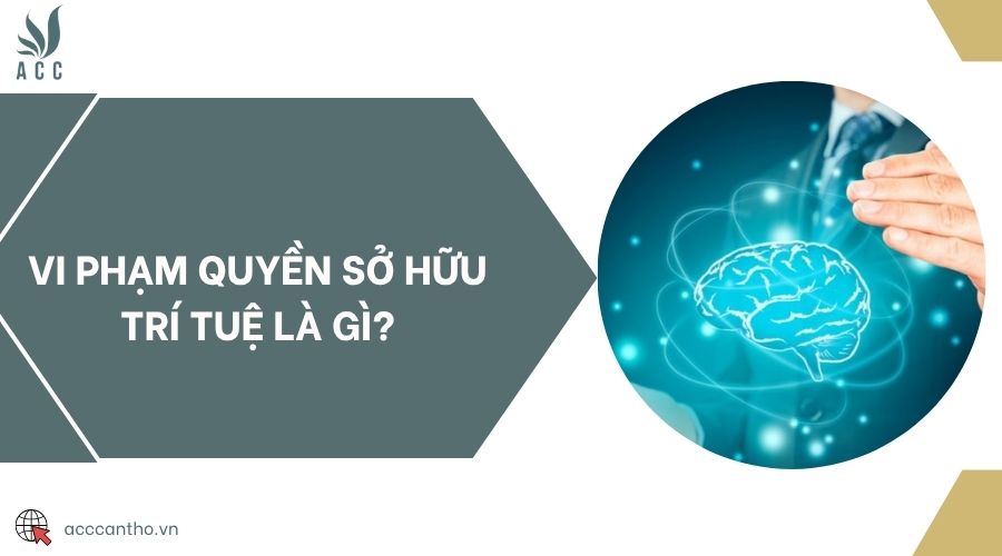 Vi phạm quyền sở hữu trí tuệ là gì?
