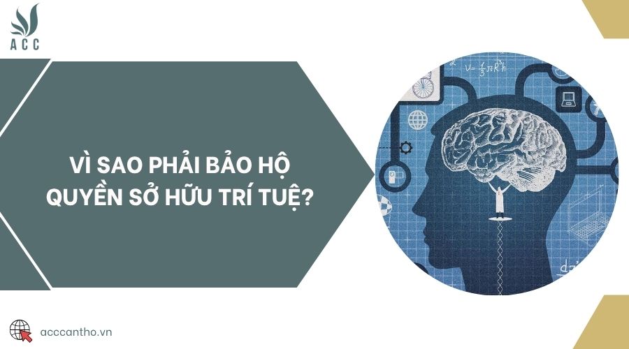 Vì sao phải bảo hộ quyền sở hữu trí tuệ?
