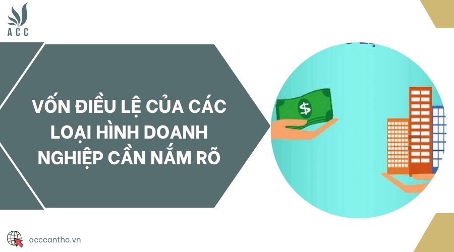 Vốn điều lệ của các loại hình doanh nghiệp cần nắm rõ