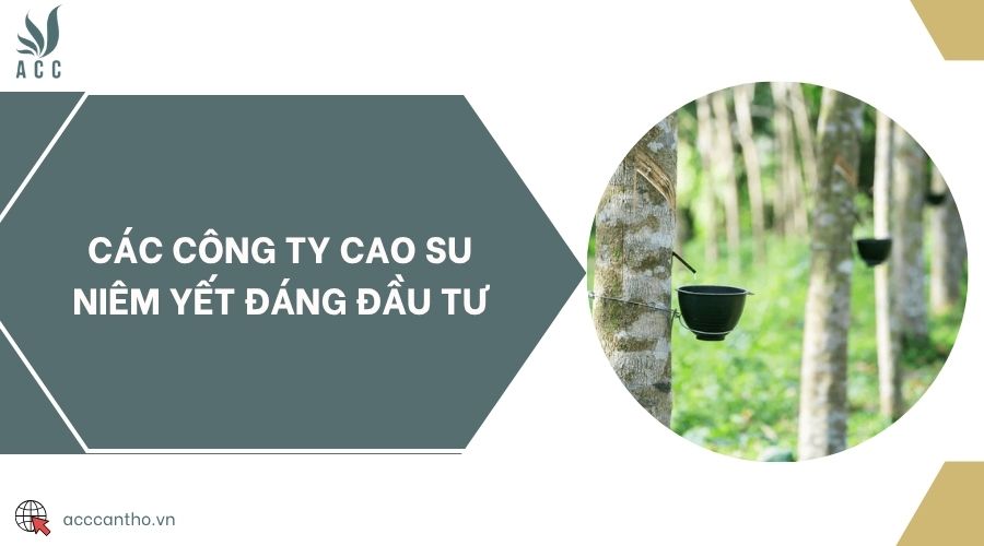 Các công ty cao su niêm yết đáng đầu tư