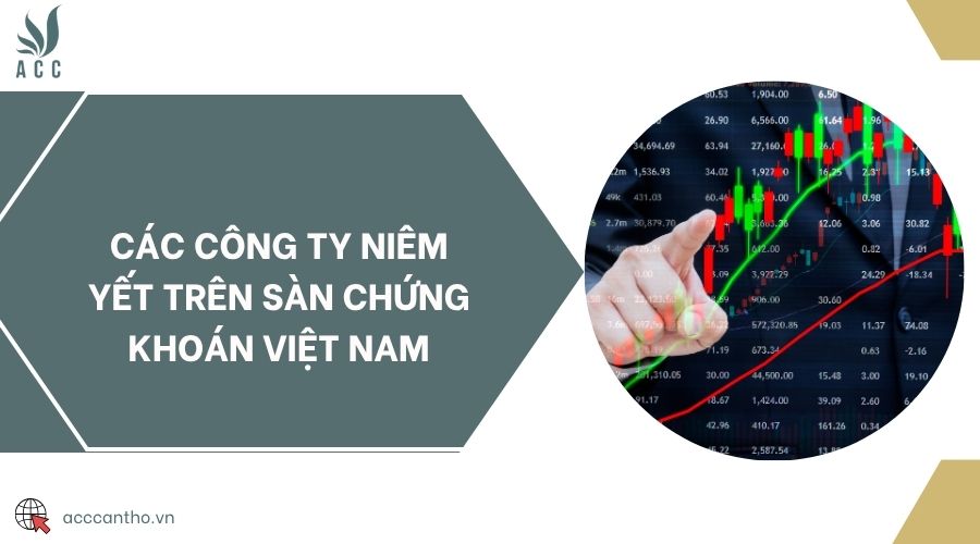 Các công ty niêm yết trên sàn chứng khoán Việt Nam