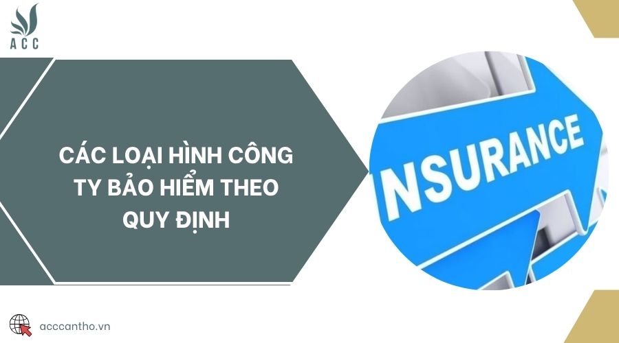 Các loại hình công ty bảo hiểm theo quy định