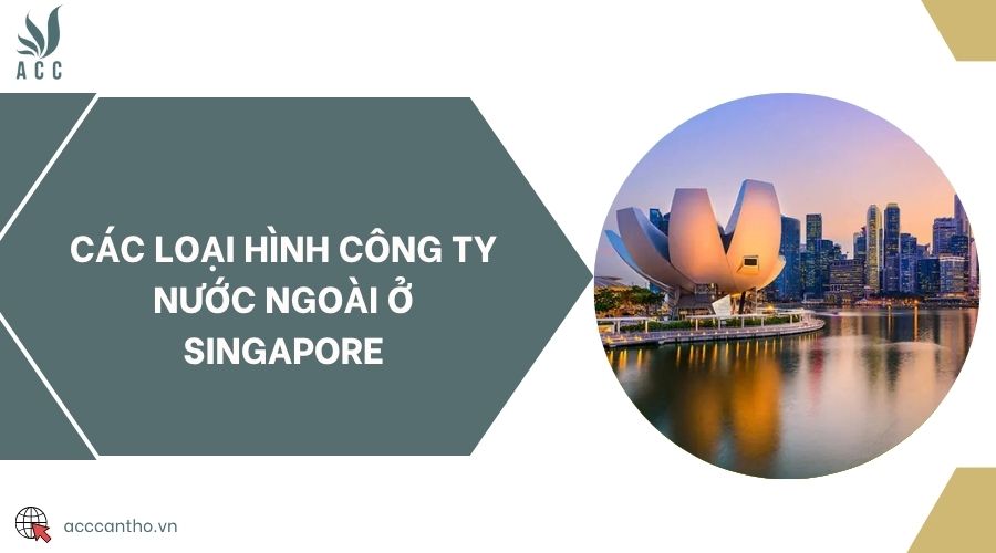 Các loại hình công ty nước ngoài ở Singapore