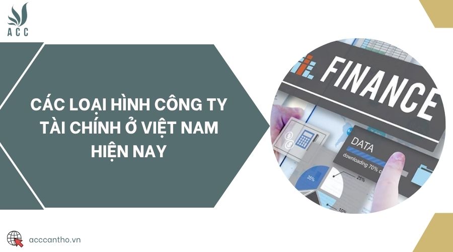 Các loại hình công ty tài chính ở Việt Nam hiện nay