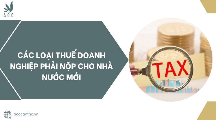 Các loại thuế doanh nghiệp phải nộp cho nhà nước mới