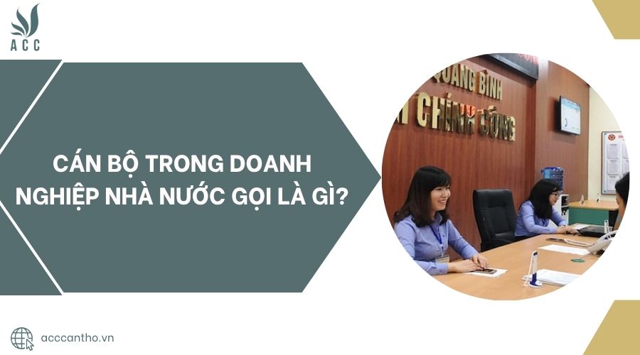 Cán bộ trong doanh nghiệp nhà nước gọi là gì?
