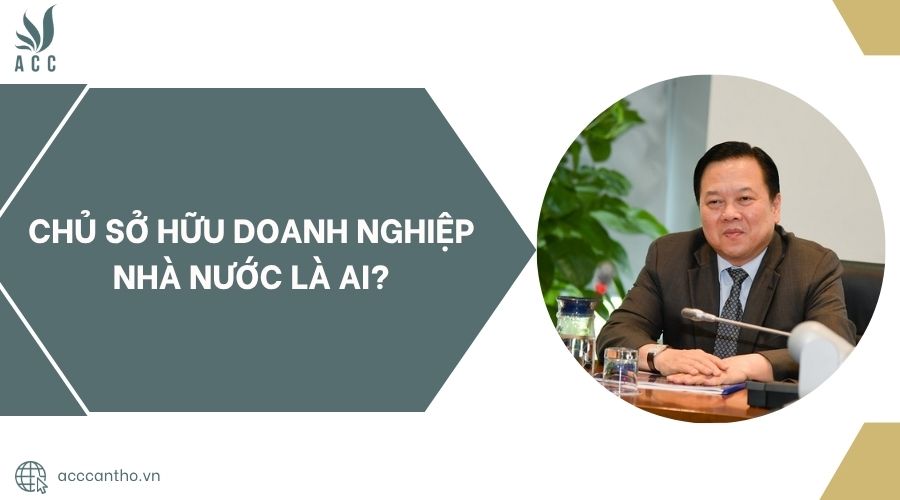 Chủ sở hữu doanh nghiệp nhà nước là ai?
