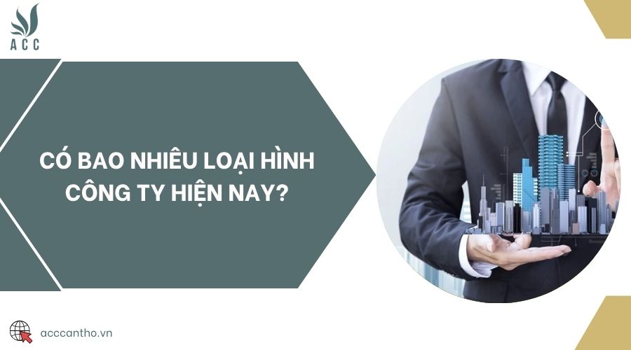 Có bao nhiêu loại hình công ty hiện nay?