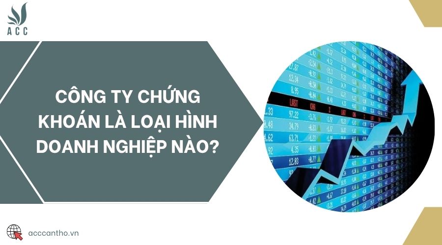 Công ty chứng khoán là loại hình doanh nghiệp nào?
