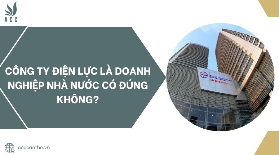 Công ty điện lực là doanh nghiệp nhà nước có đúng không?