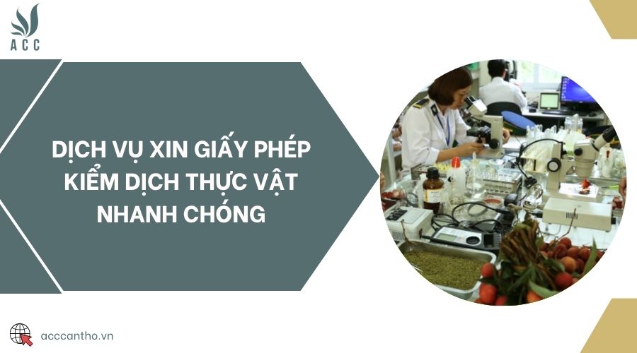 Dịch vụ xin giấy phép kiểm dịch thực vật nhanh chóng