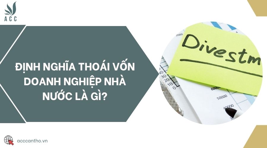 Định nghĩa thoái vốn doanh nghiệp nhà nước là gì?