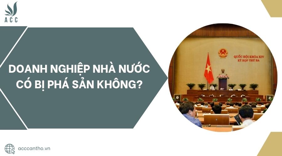 Doanh nghiệp nhà nước có bị phá sản không?