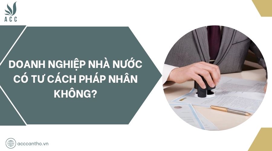 Doanh nghiệp nhà nước có tư cách pháp nhân không?