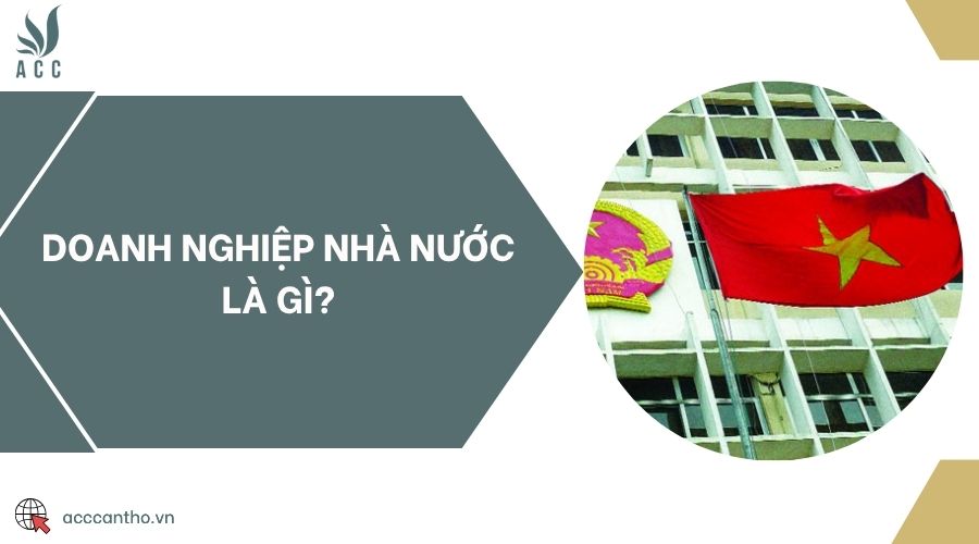 Doanh nghiệp nhà nước là gì?