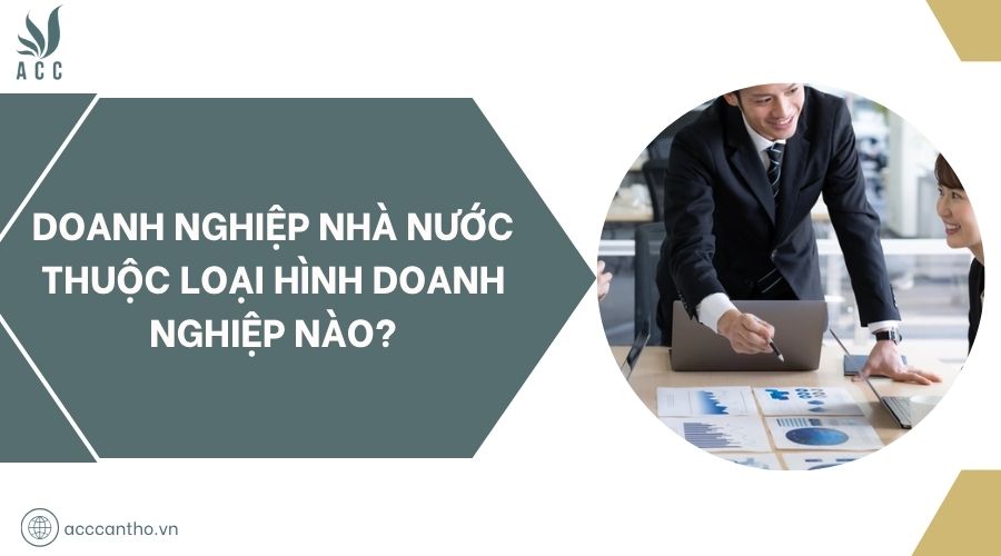 Doanh nghiệp nhà nước thuộc loại hình doanh nghiệp nào?