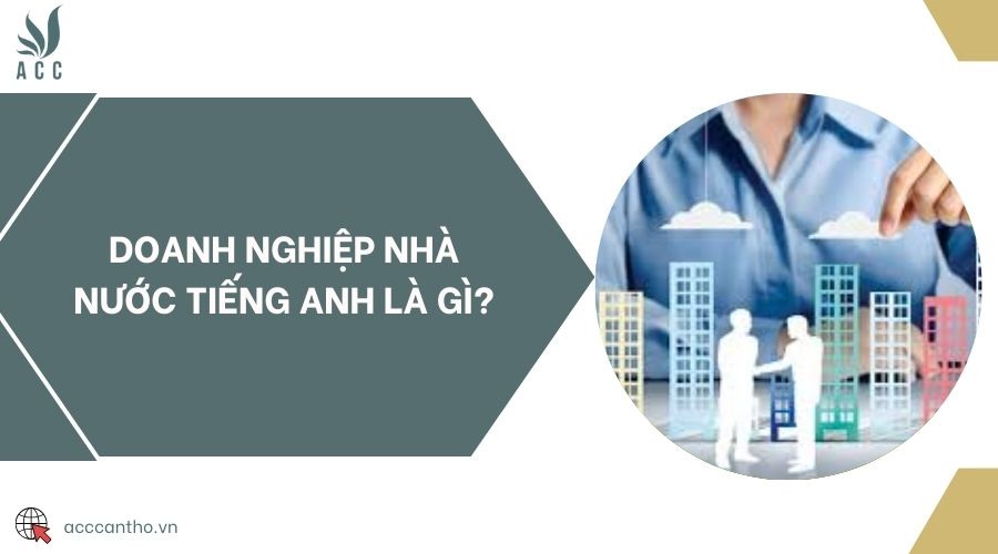 Doanh nghiệp nhà nước tiếng Anh là gì?