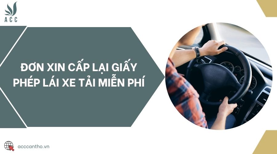 Đơn xin cấp lại giấy phép lái xe tải miễn phí