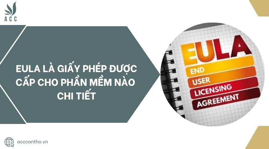 Eula là giấy phép được cấp cho phần mềm nào chi tiết