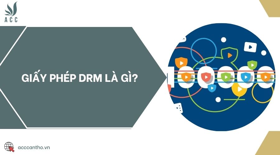 fv88 DRM là gì?