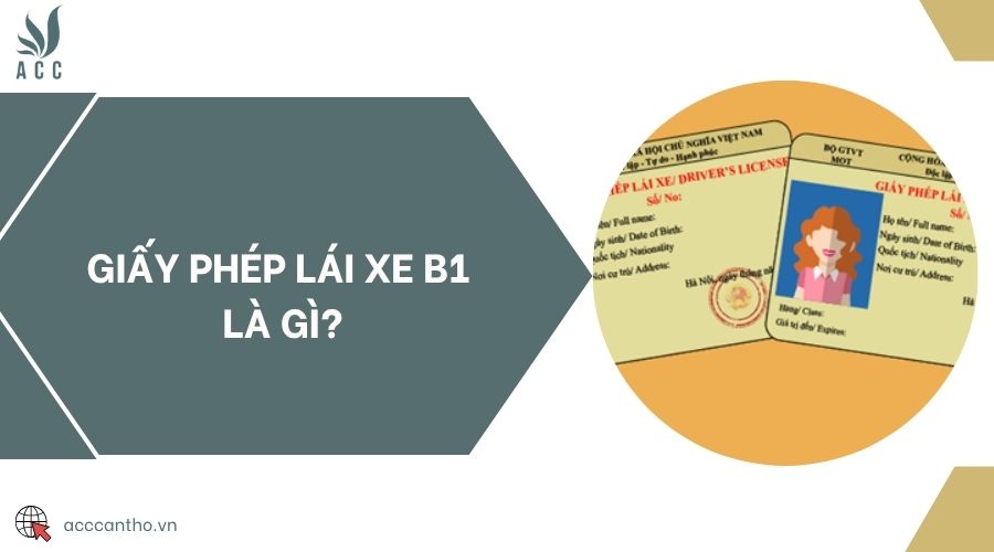 fv88 lái xe B1 là gì?