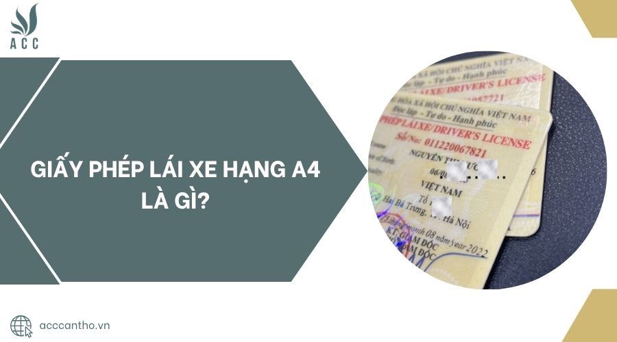 fv88 lái xe hạng A4 là gì?